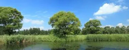 綠色產(chǎn)品認(rèn)證，人造板、衛(wèi)生陶瓷、家具、建材、快遞包裝等認(rèn)證